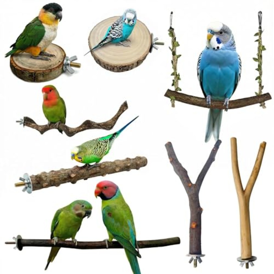 Health & Wellness Waiver Indiana - 8PCS natural wood bird perches for
