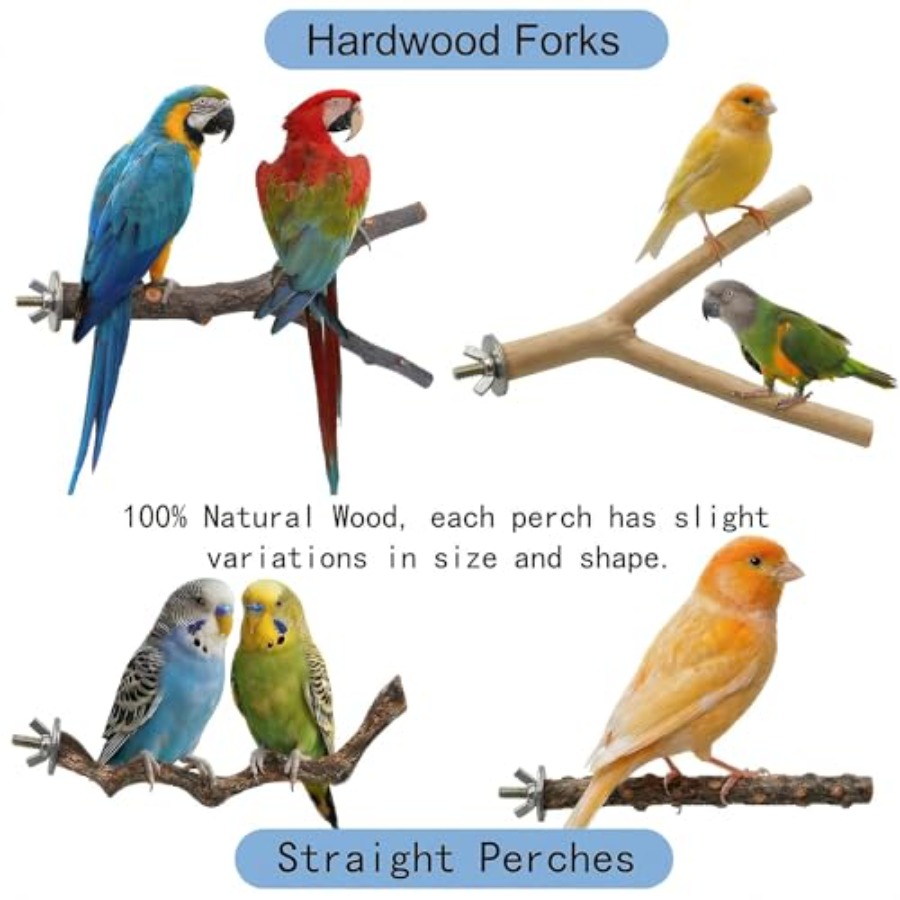 8PCS natural wood bird perches - Health & Wellness Waiver Indiana ulasan dan harga