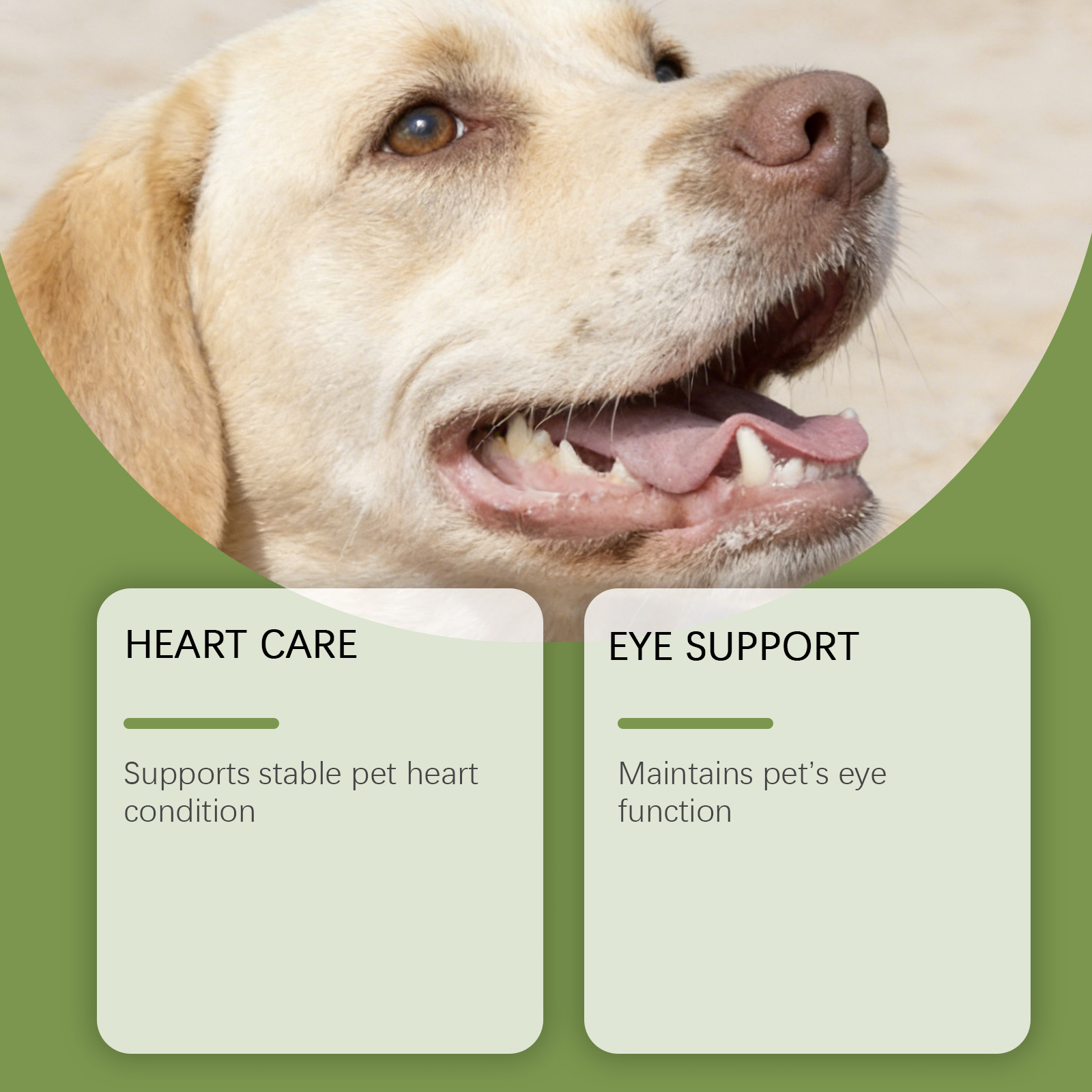 Dog Taurine Powder Easy-To-Mix - Wellness Health Nutrition ulasan dan harga